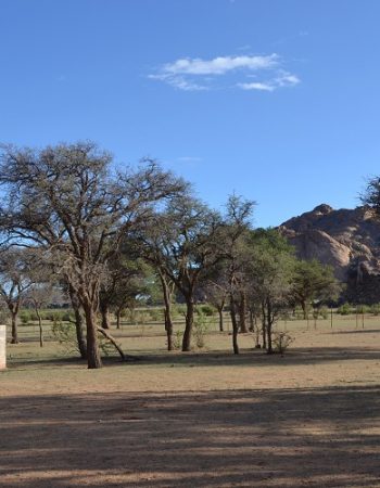 Savanna Guest Farm