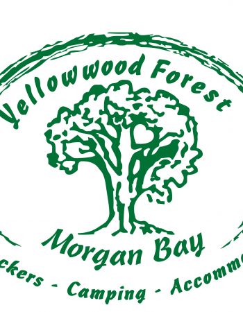 Yellowwood Forest