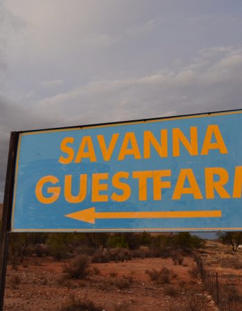 Savanna Guest Farm