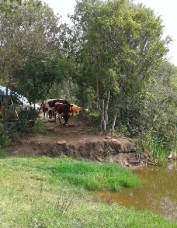 Thabaphaswa Mountain Sanctuary