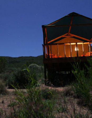 Agama Tented Camp