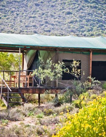 Agama Tented Camp