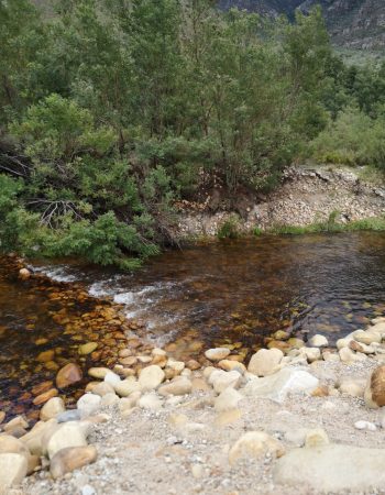 Dwarsberg Trout Hideaway