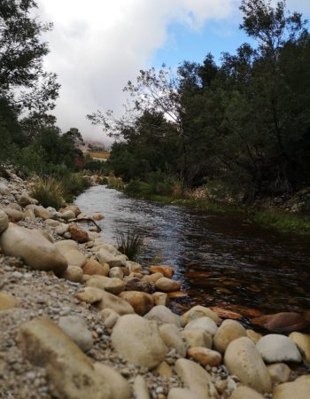 Dwarsberg Trout Hideaway