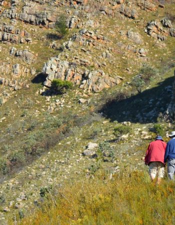 Secret Falls Tulbagh