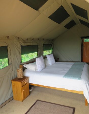 Woodbury Tented Camp – Amakhala Game Reserve