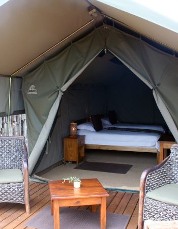 Woodbury Tented Camp – Amakhala Game Reserve