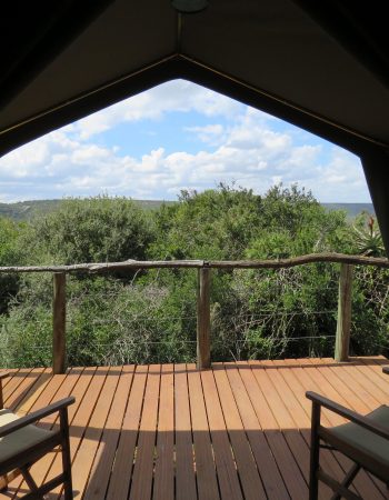 Woodbury Tented Camp – Amakhala Game Reserve