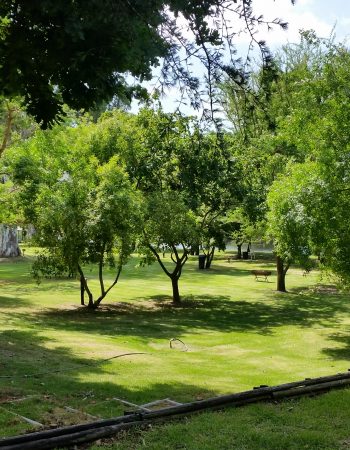 Bonnievale River Lodge