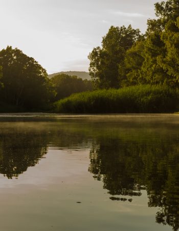 Bonnievale River Lodge