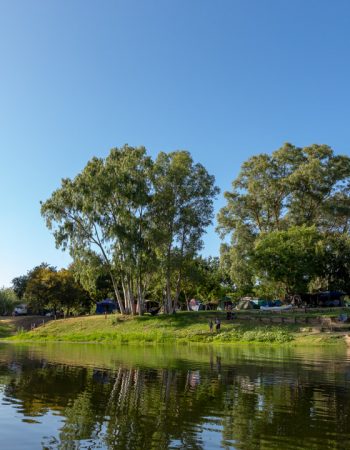 Bonnievale River Lodge