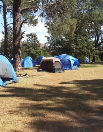 Greyton EcoCamp