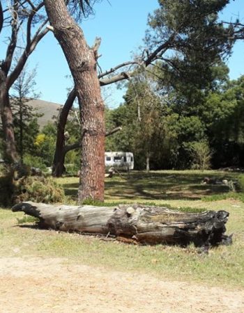 Greyton EcoCamp