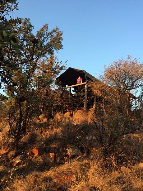 luxury tented camps bela bela