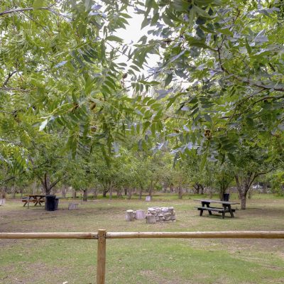 De Bos Guest Farm