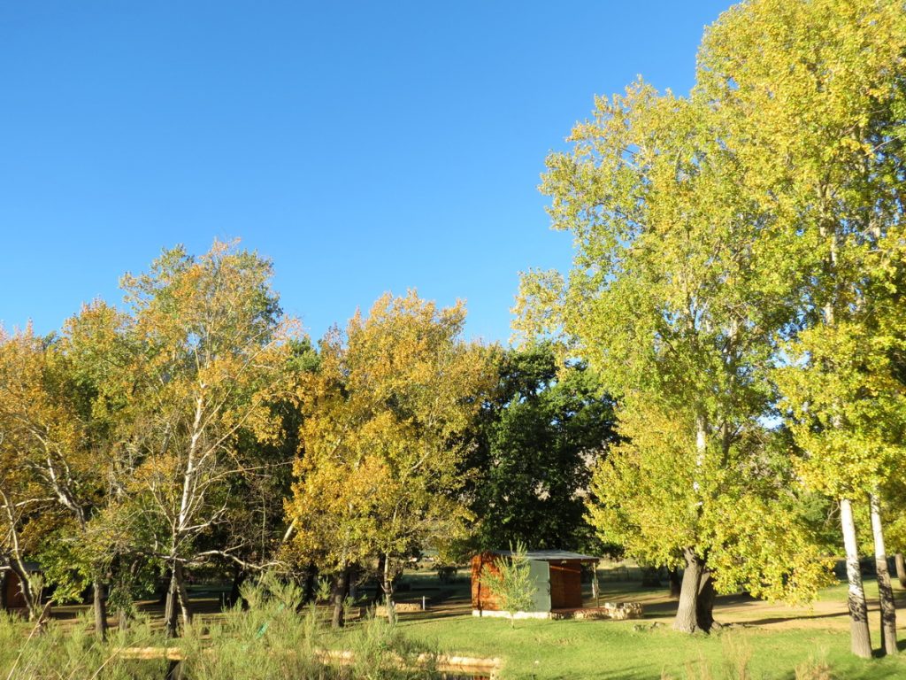 cederberg campsites western cape