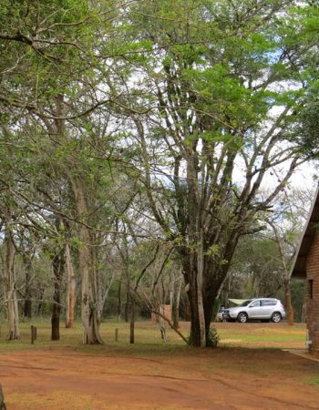 Bonamanzi Game Reserve Campground